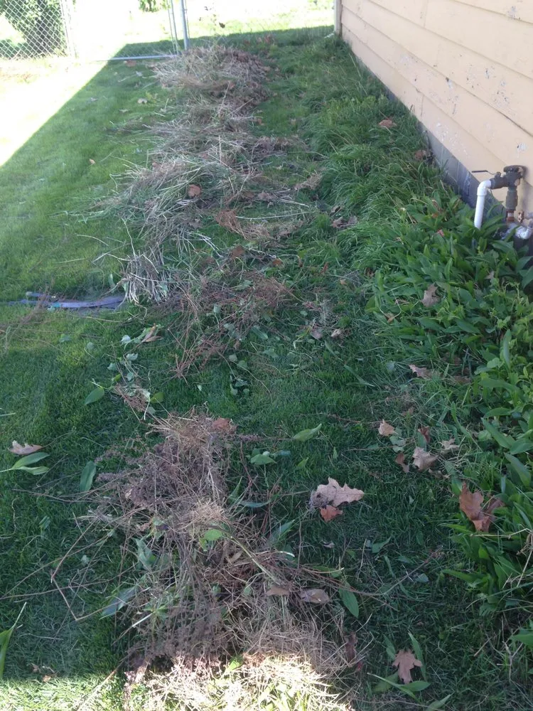 Reliable outdoor landscaping in Fremont, NE by Krave Painting & Lawn Service