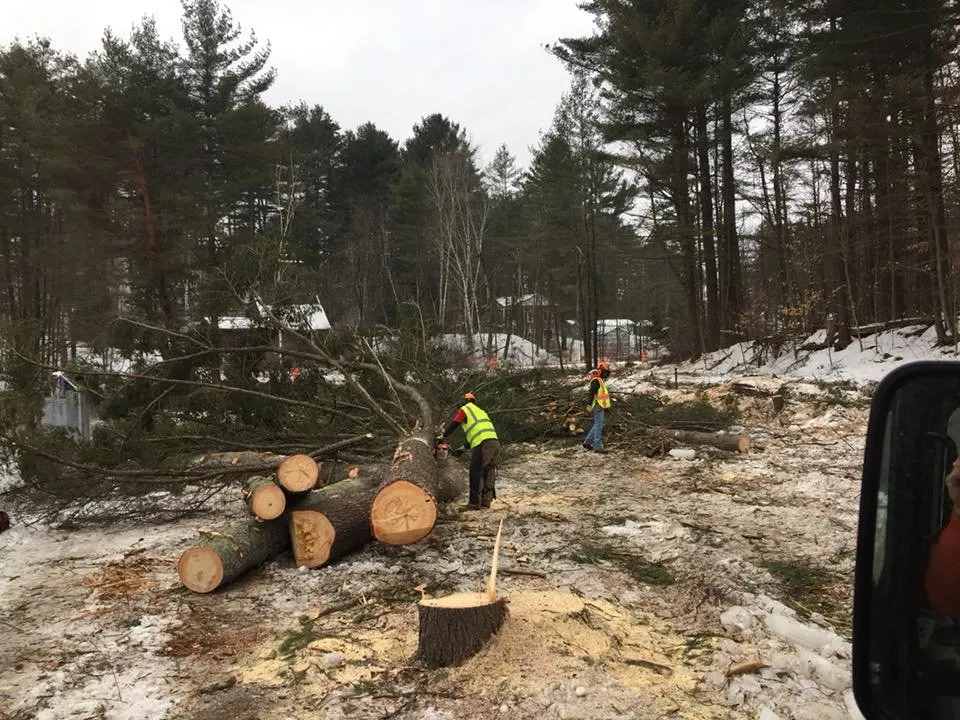 Custom landscape design for homes across Keeseville, NY - Kravitz Landscaping