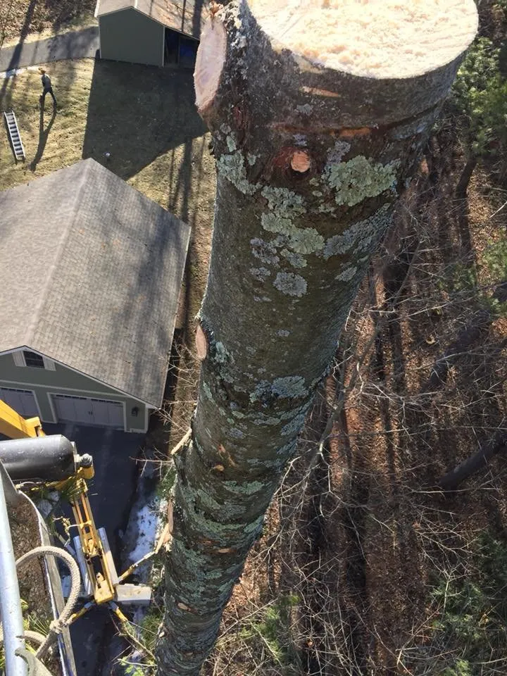 Trusted residential landscaping for outdoor upgrades across Keeseville, NY - Kravitz Landscaping