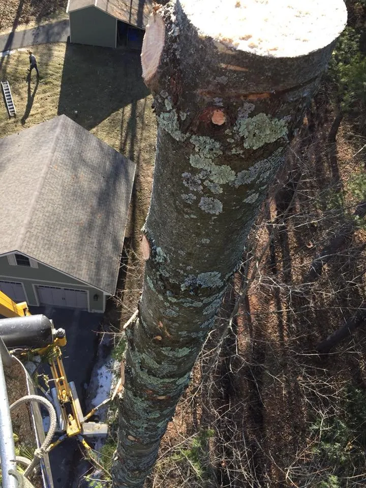 Local lawn mowing service in Keeseville, NY - Kravitz Landscaping