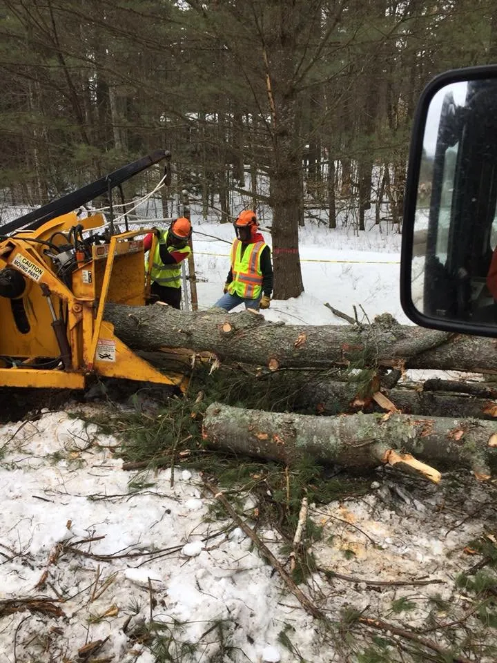 Reliable landscaping services in Keeseville, NY by Kravitz Landscaping