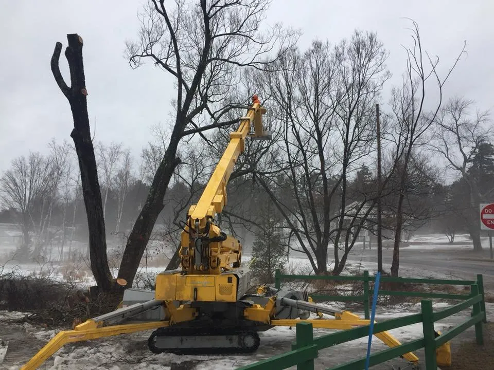 Top-rated landscape design for homes in Keeseville, NY by Kravitz Landscaping