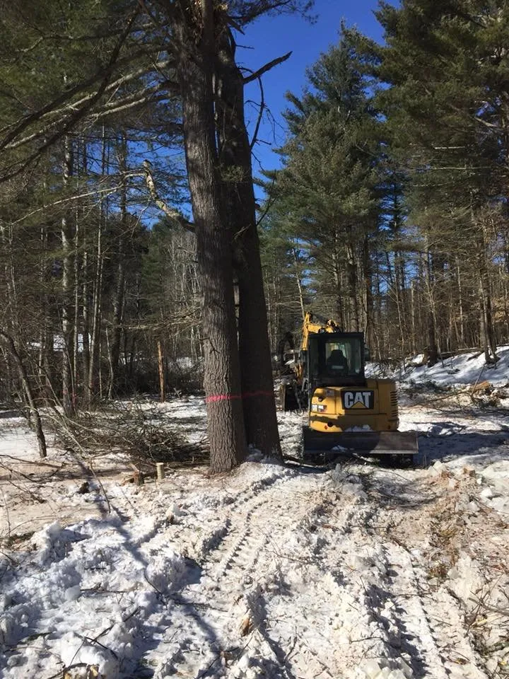 Professional yard maintenance for beautiful yards in Keeseville, NY by Kravitz Landscaping