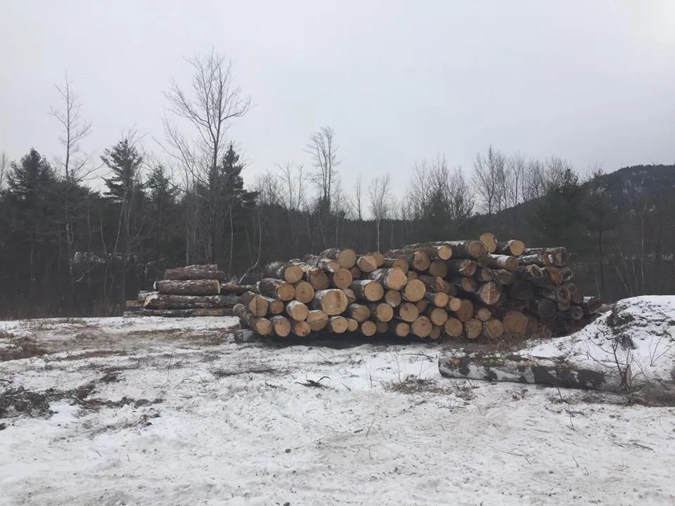 Trusted yard maintenance in Keeseville, NY - Kravitz Landscaping