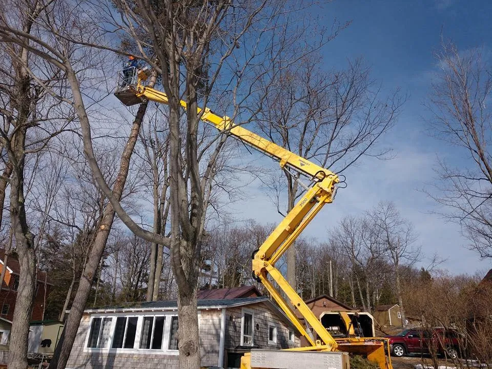 Trusted yard maintenance for residential properties in Keeseville, NY by Kravitz Landscaping
