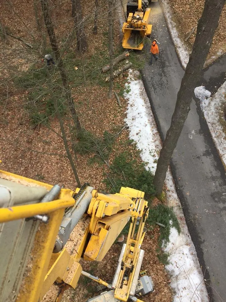 Top-rated lawn mowing service in Keeseville, NY - Kravitz Landscaping