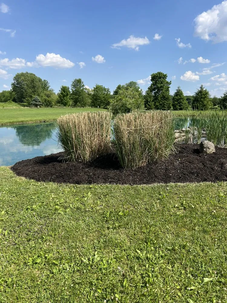 Trusted yard cleanup service in Canal Winchester, OH - Kraynakd Home & Lawn Care