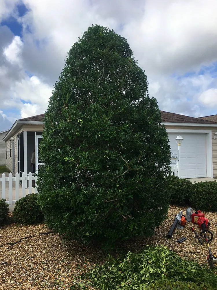 Affordable landscape installation for homes across Leesburg, FL - KRB Discount Tree & Trim Service