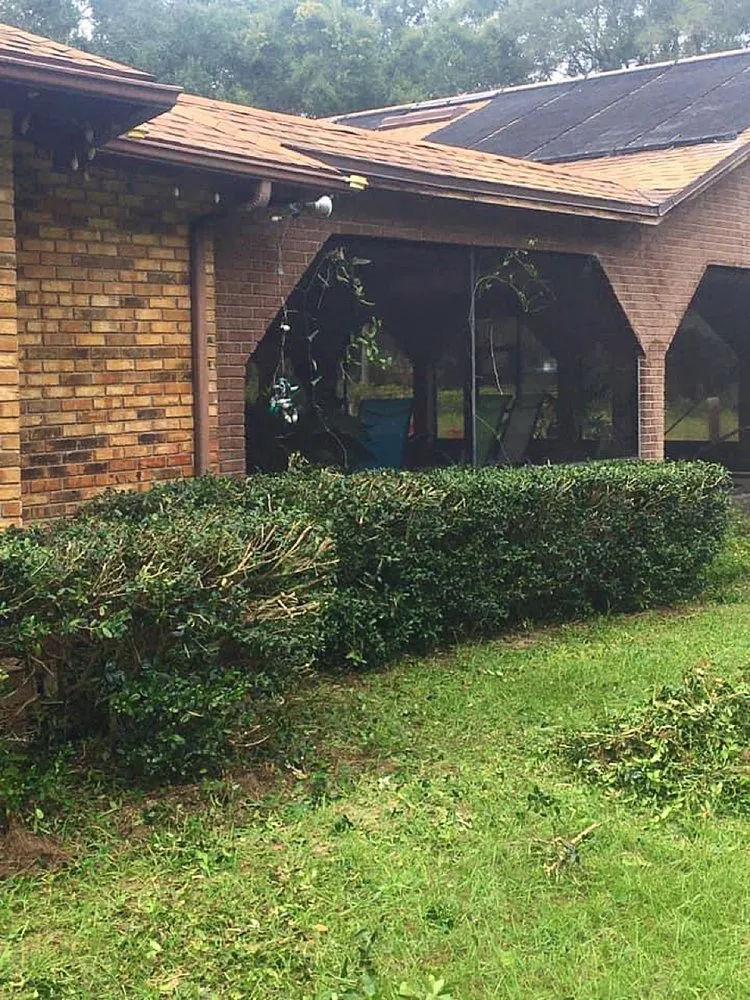 Top-rated landscaping services in Leesburg, FL by KRB Discount Tree & Trim Service