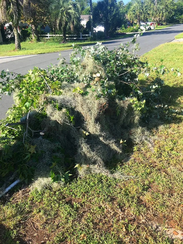 Custom yard cleanup service for homes in Leesburg, FL by KRB Discount Tree & Trim Service