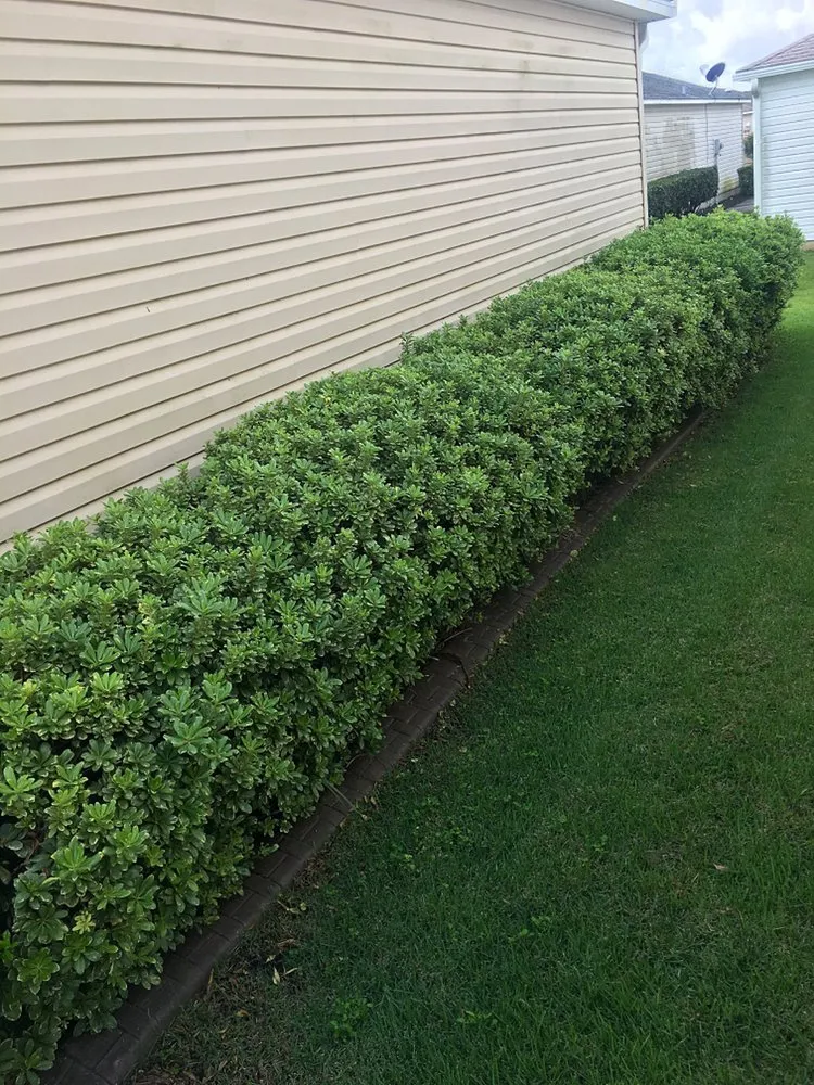 Expert lawn mowing service in Leesburg, FL - KRB Discount Tree & Trim Service