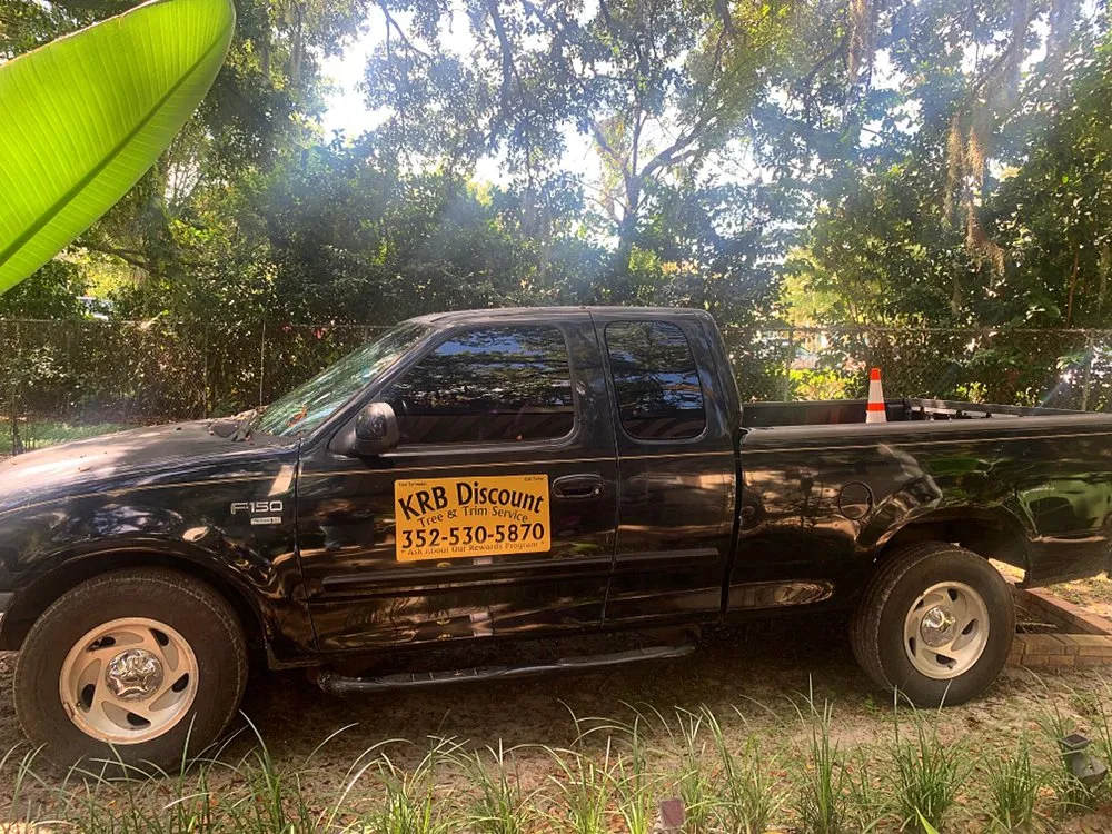 Professional lawn care service in Leesburg, FL by KRB Discount Tree & Trim Service