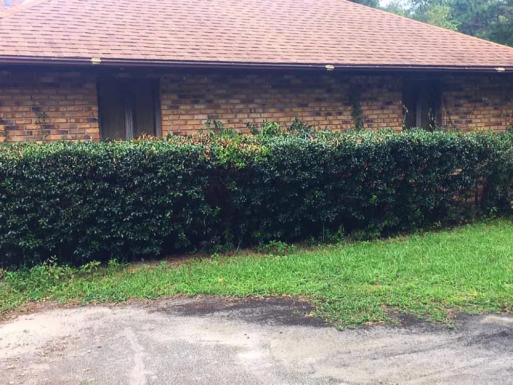 Affordable landscaping services in Leesburg, FL - KRB Discount Tree & Trim Service