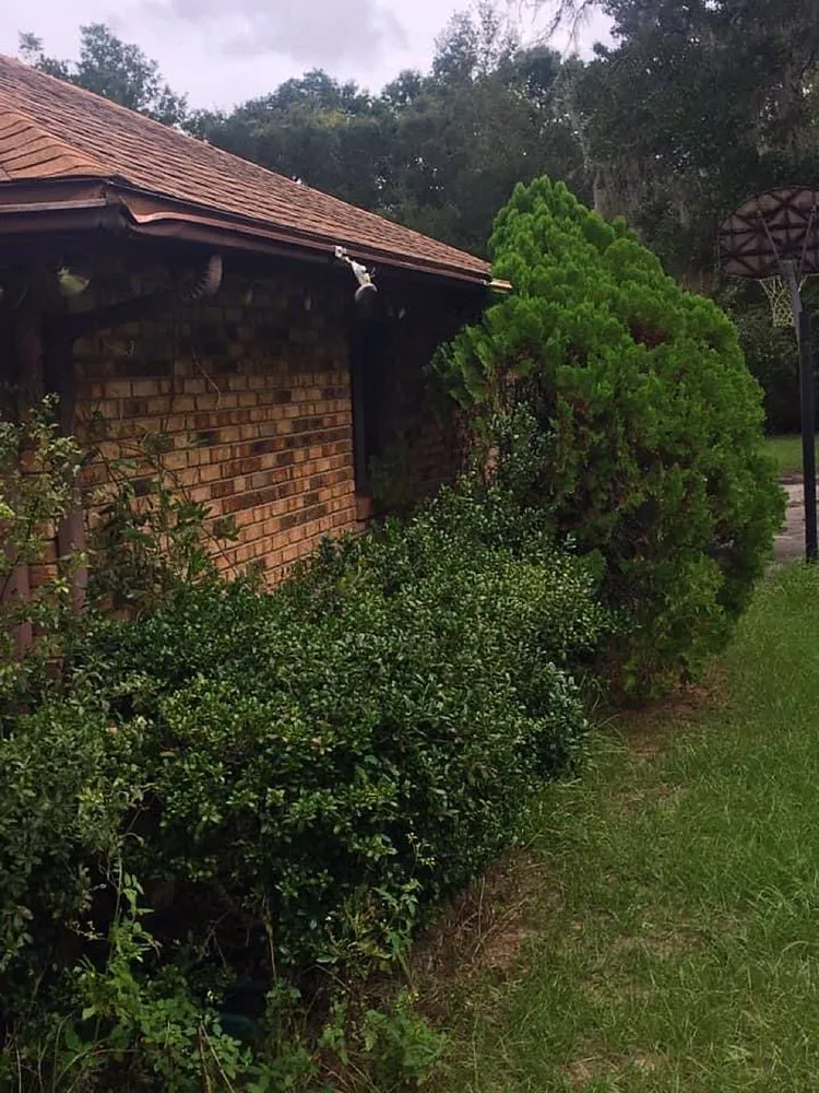 Expert lawn care service for beautiful yards in Leesburg, FL by KRB Discount Tree & Trim Service