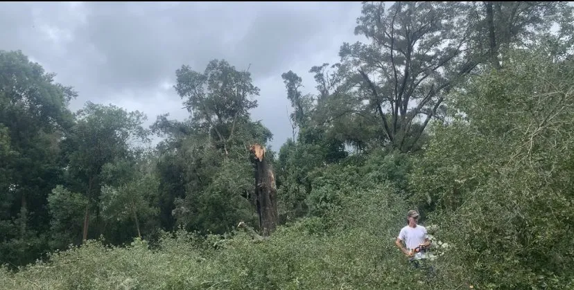 Affordable lawn care service in Leesburg, FL by KRB Discount Tree & Trim Service