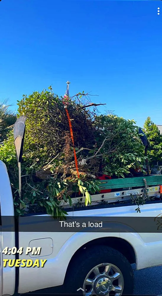 Affordable lawn mowing service in Leesburg, FL by KRB Discount Tree & Trim Service