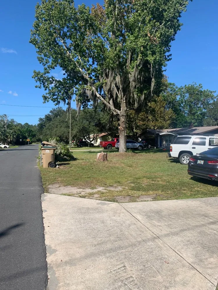 Reliable lawn care service near you in Leesburg, FL by KRB Discount Tree & Trim Service