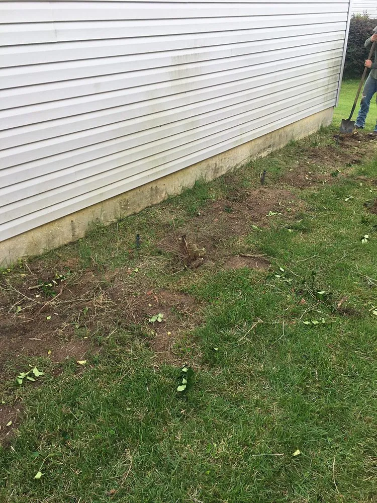 Local landscape design with custom design in Leesburg, FL by KRB Discount Tree & Trim Service