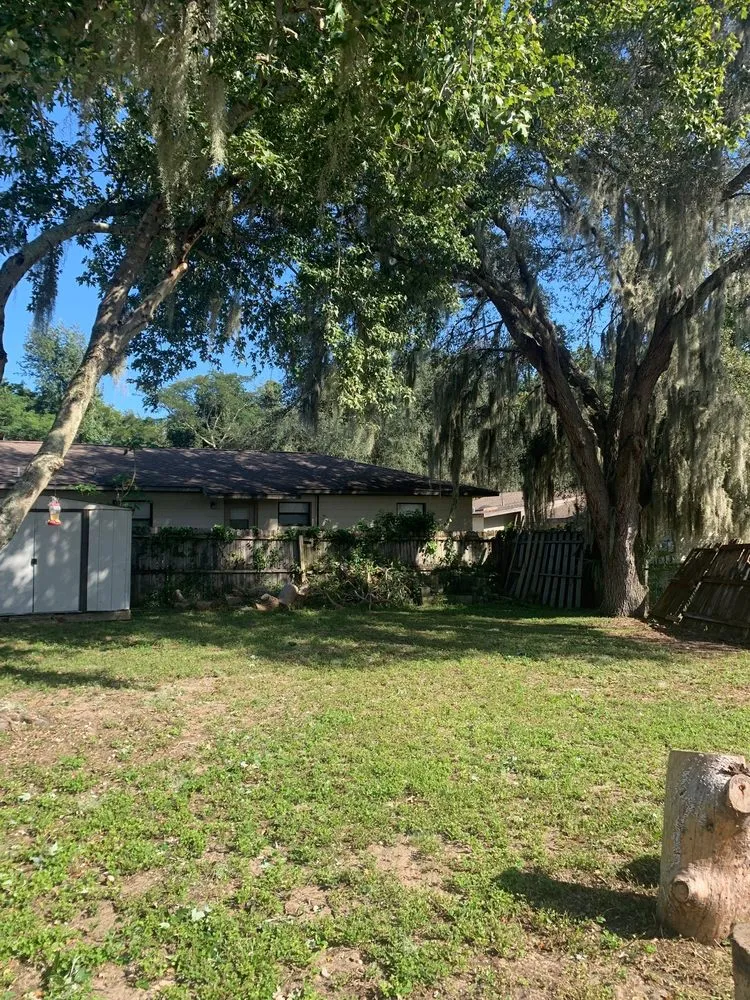 Top-rated lawn care service in Leesburg, FL by KRB Discount Tree & Trim Service