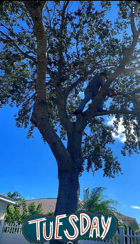 Affordable landscape installation for residential properties in Leesburg, FL by KRB Discount Tree & Trim Service