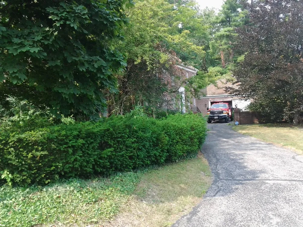 Trusted yard maintenance for year-round maintenance in Defiance, OH by Kreative Solutions & Associates