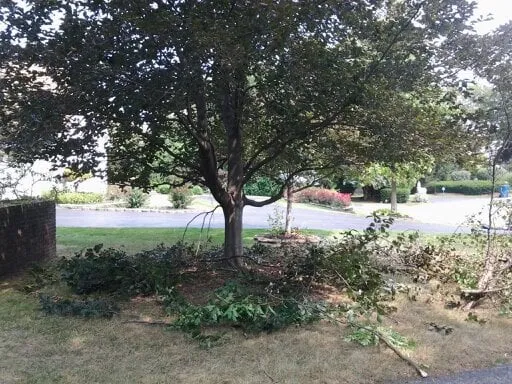 Local landscape design for beautiful yards in Defiance, OH by Kreative Solutions & Associates