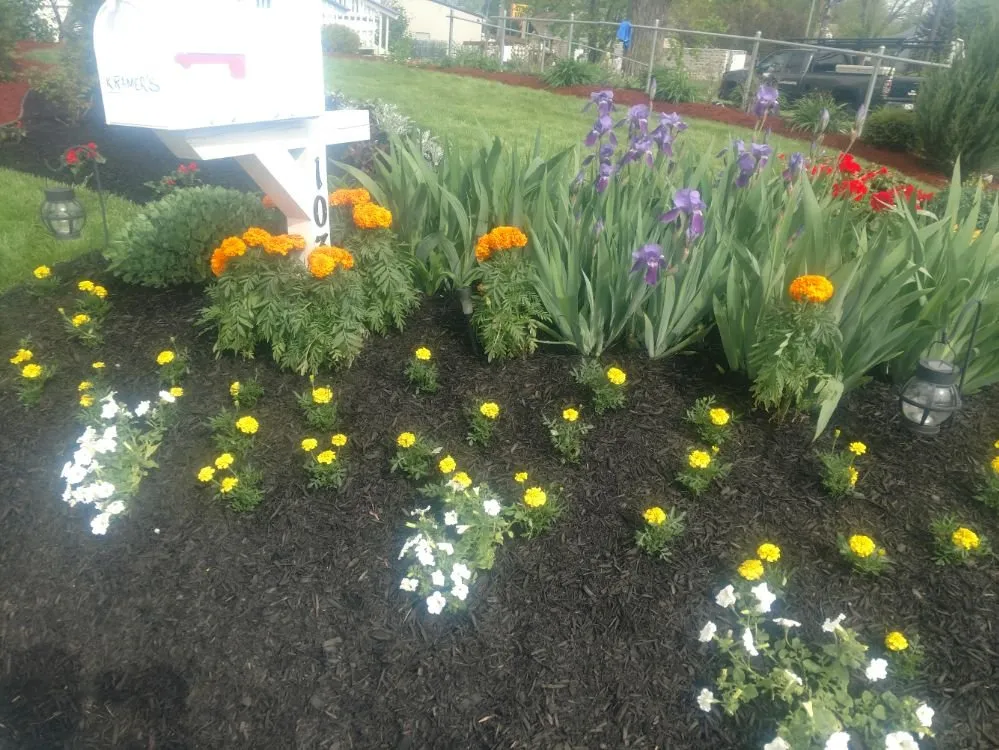 Expert lawn mowing service in Defiance, OH by Kreative Solutions & Associates