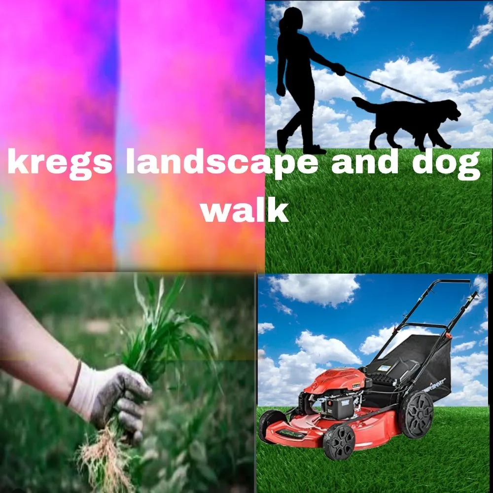 Reliable yard cleanup service with custom design in Pueblo, CO by Kregs Dog Walk and Yard