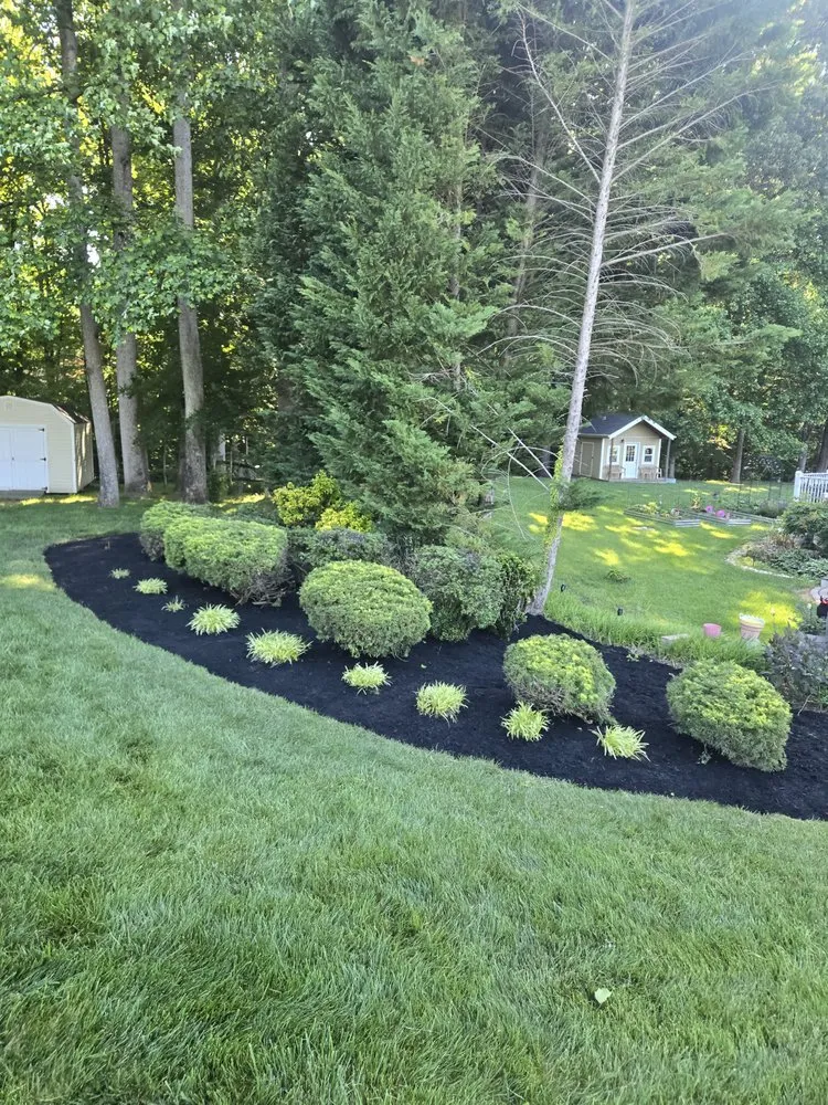 Expert yard cleanup service in Huntingtown, MD by Krenik Lawn Services
