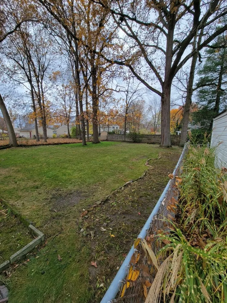 Reliable landscaping services experts serving Berea, OH - Kren’s Kreations