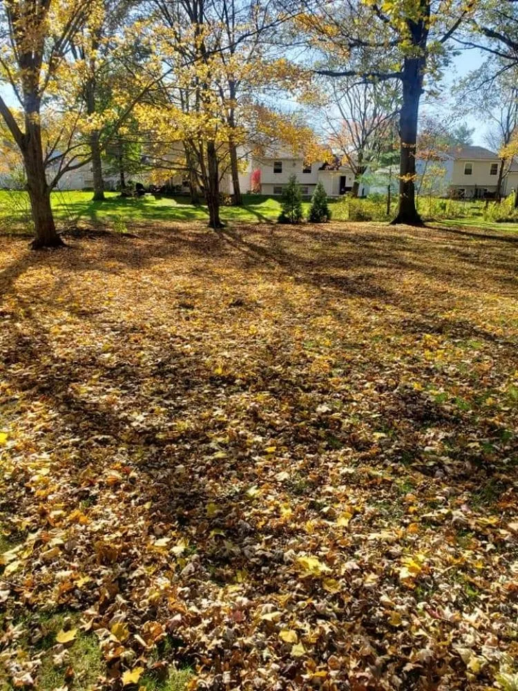 Reliable landscape installation in Berea, OH - Kren’s Kreations