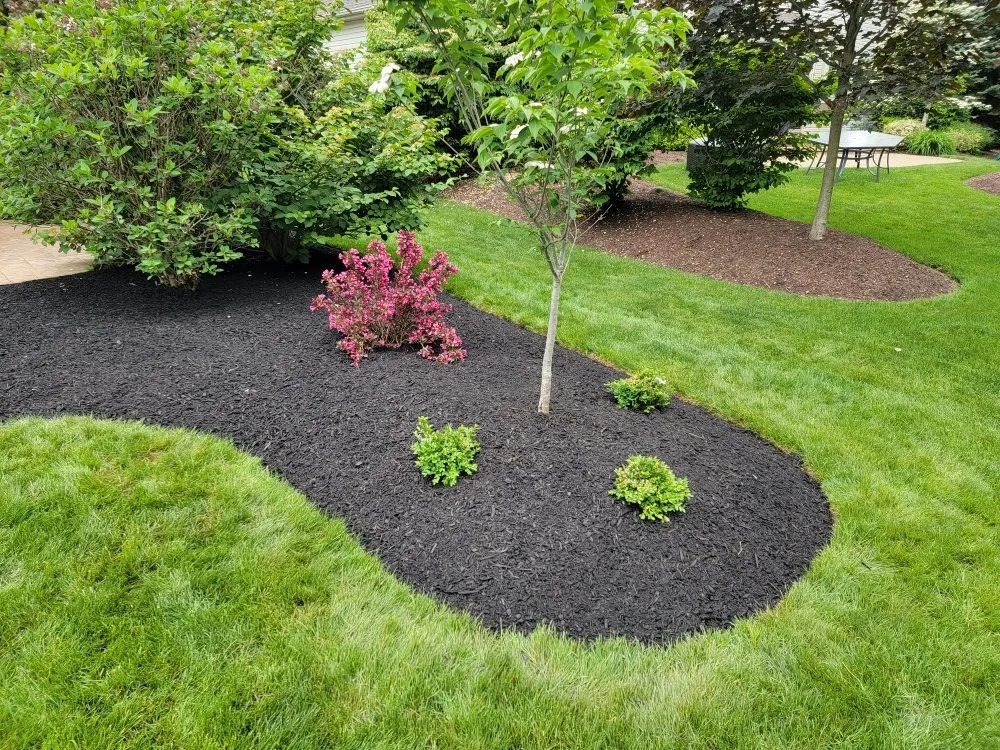 Professional lawn care service for beautiful yards across Berea, OH - Kren’s Kreations