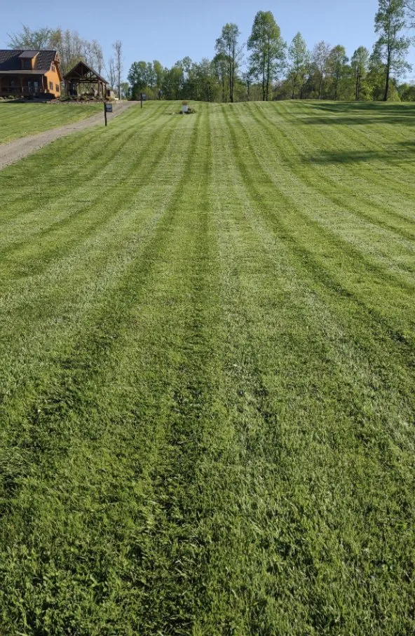 Local residential landscaping near you in Street, MD by Kresge Lawncare