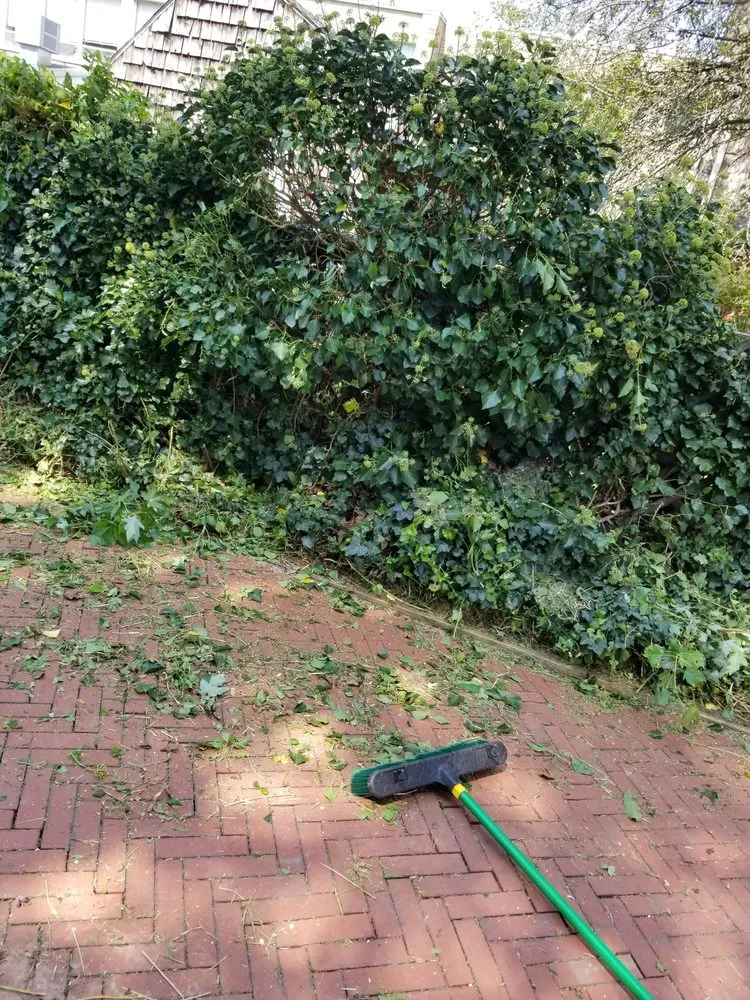 Top-rated outdoor landscaping in Schuylkill Haven, PA - Kressly CALC