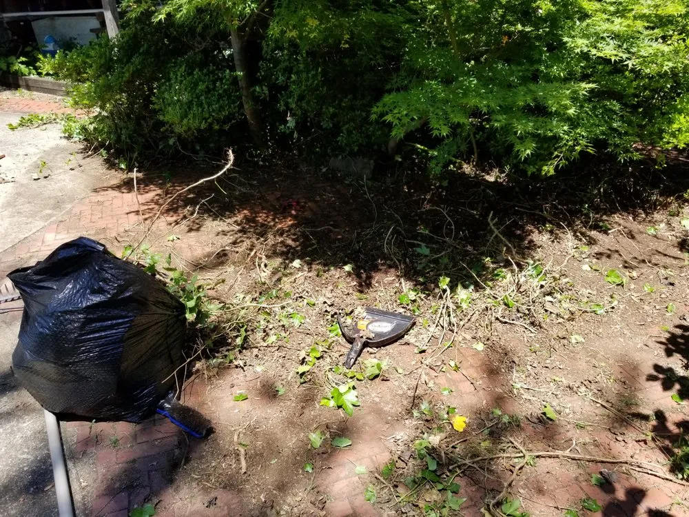 Affordable landscape design experts serving Schuylkill Haven, PA - Kressly CALC