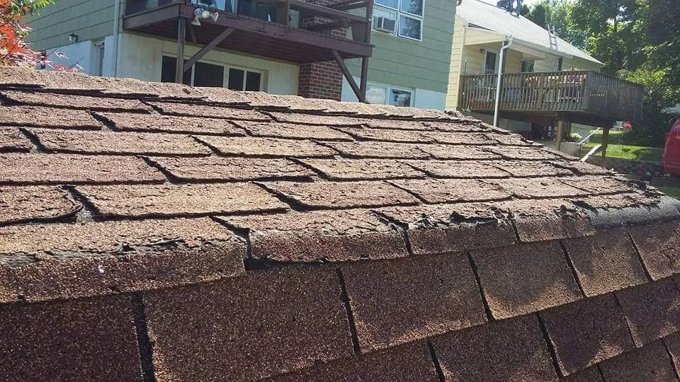 Top-rated lawn care service for beautiful yards in Schuylkill Haven, PA by Kressly CALC