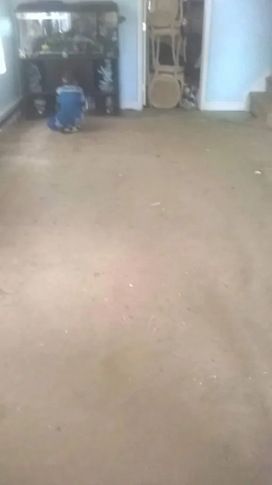 Expert landscape design for beautiful yards across Schuylkill Haven, PA - Kressly CALC