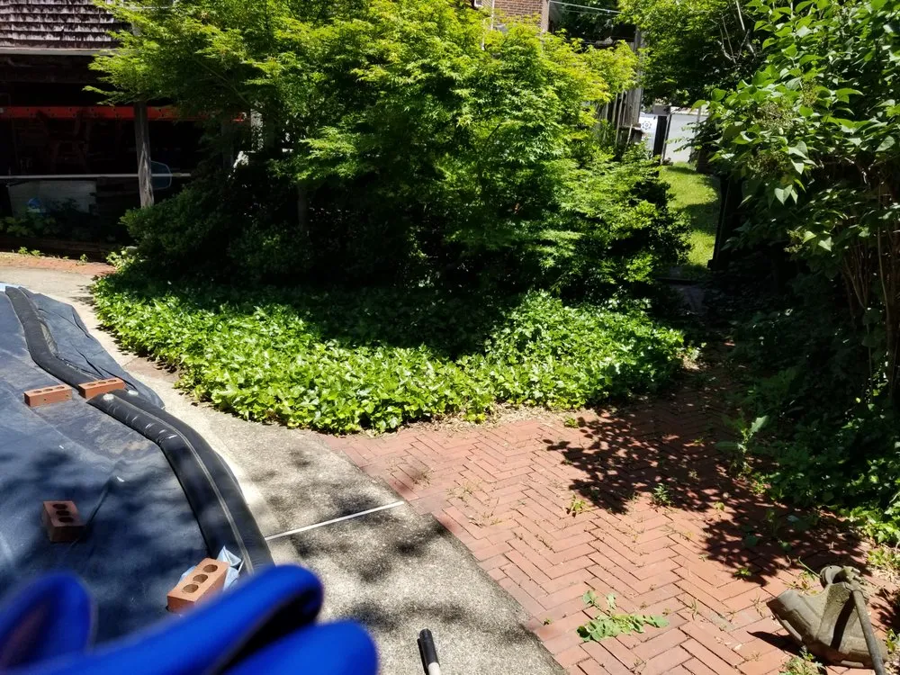 Trusted yard cleanup service experts serving Schuylkill Haven, PA - Kressly CALC