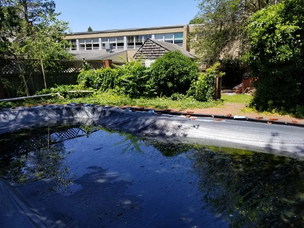 Reliable yard cleanup service in Schuylkill Haven, PA by Kressly CALC