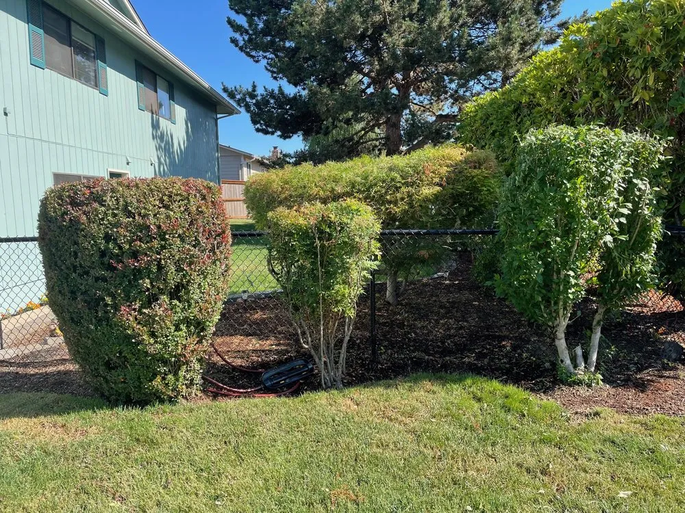 Reliable residential landscaping experts serving Keizer, OR - Krewson's Yard Services