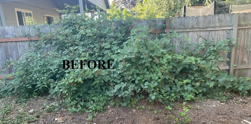 Local garden landscaping in Keizer, OR by Krewson's Yard Services