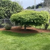Reliable lawn mowing service in Keizer, OR - Krewson's Yard Services