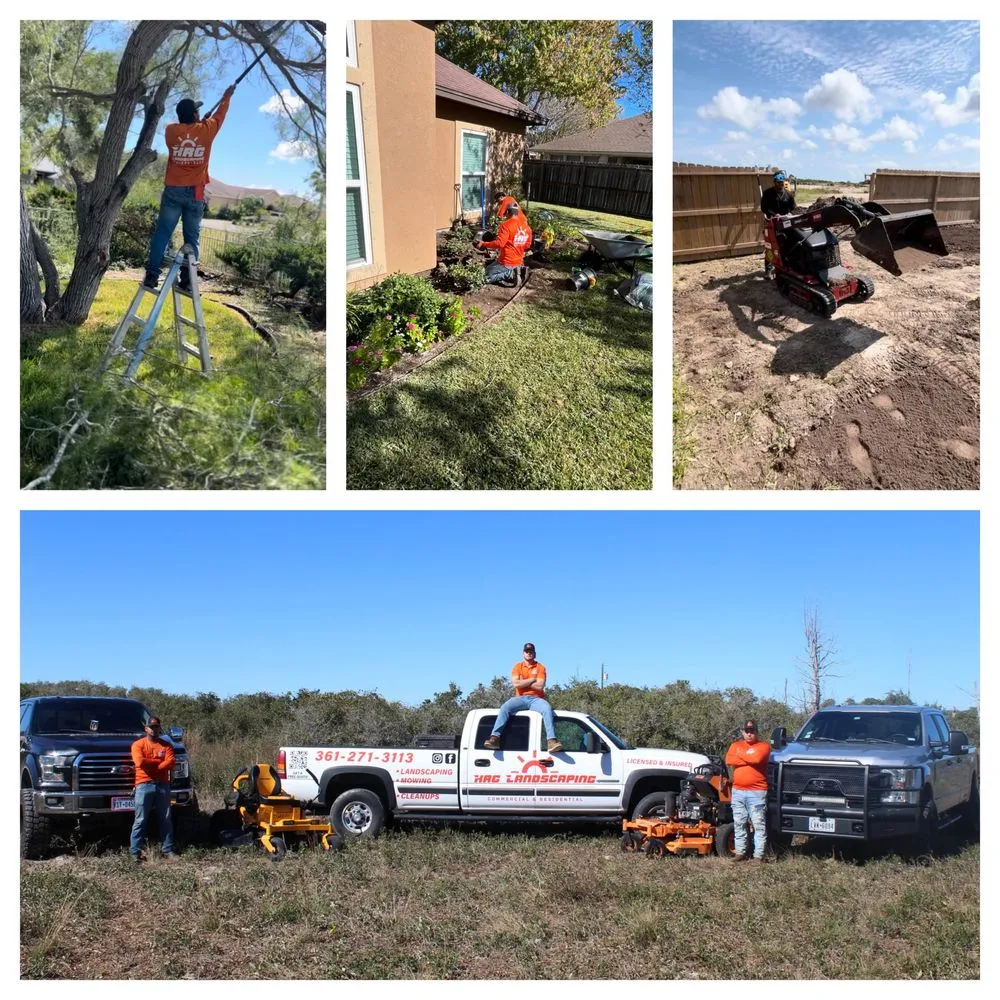 Local yard cleanup service in Corpus Christi, TX by KRG Landscaping