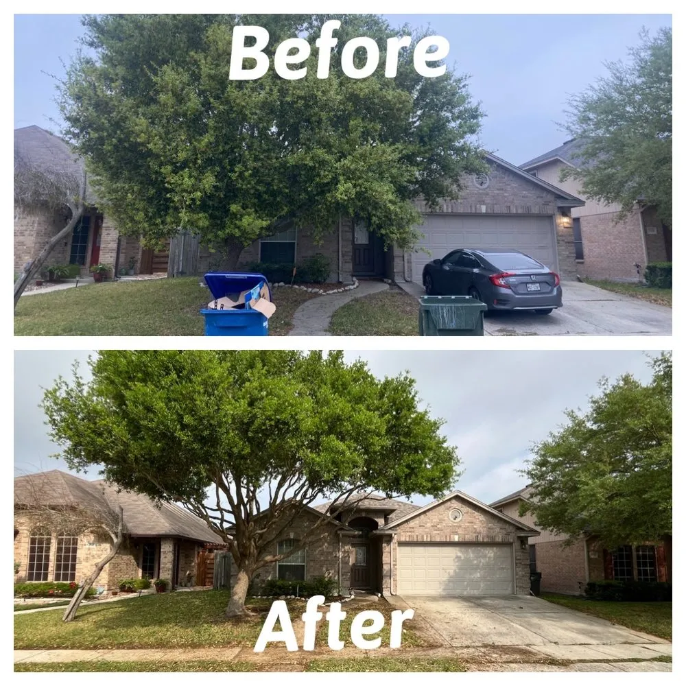 Affordable outdoor landscaping experts serving Corpus Christi, TX - KRG Landscaping