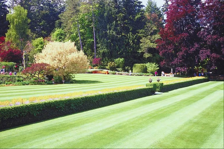 Top-rated landscape design experts serving Kalamazoo, MI - Krh Landscaping