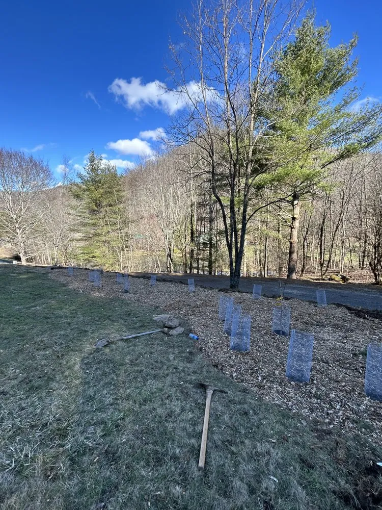Expert landscaping services in Alexander, NC - KRH Lawncare & Landscaping