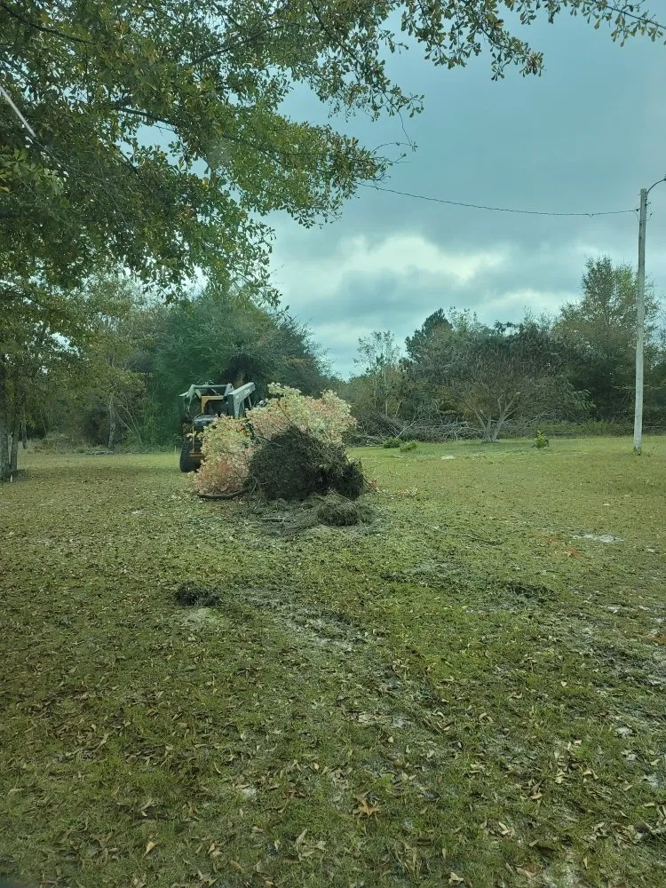 Expert landscape installation for beautiful yards across Bethune, SC - Kriegers Landwork