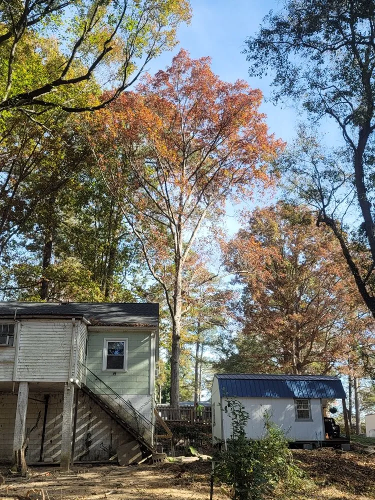 Top-rated yard maintenance for homes across Bethune, SC - Kriegers Landwork