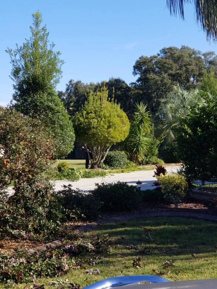 Top-rated yard cleanup service experts serving Weirsdale, FL - Kris Faulkner's Lawn Services