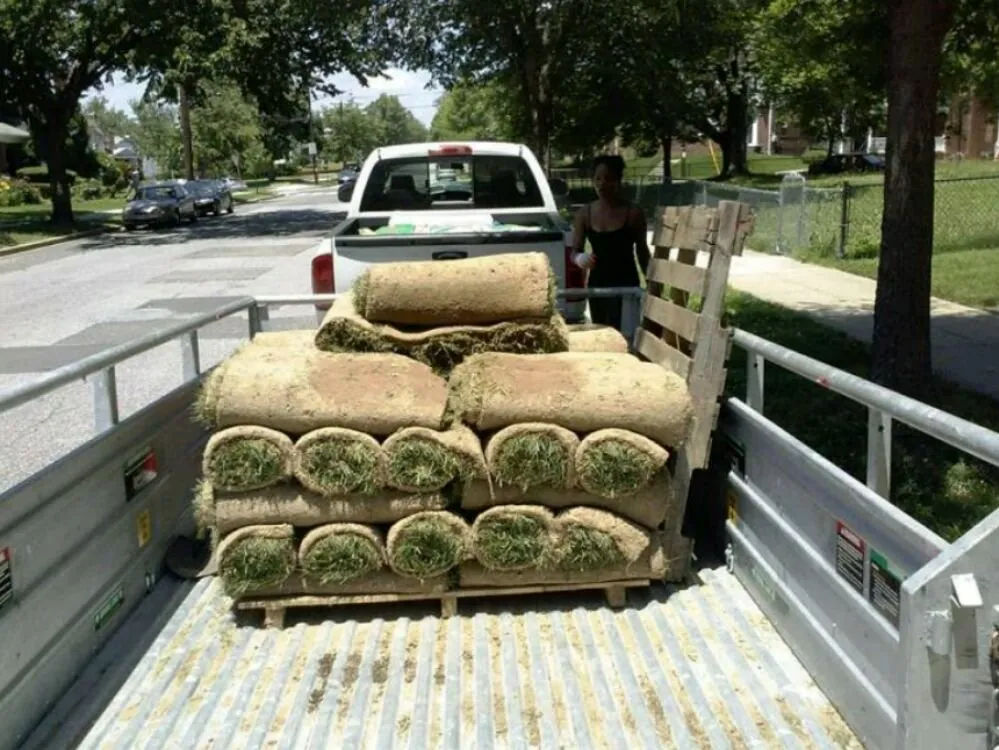 Expert outdoor landscaping for residential properties across Hyattsville, MD - KrishLanz & Co